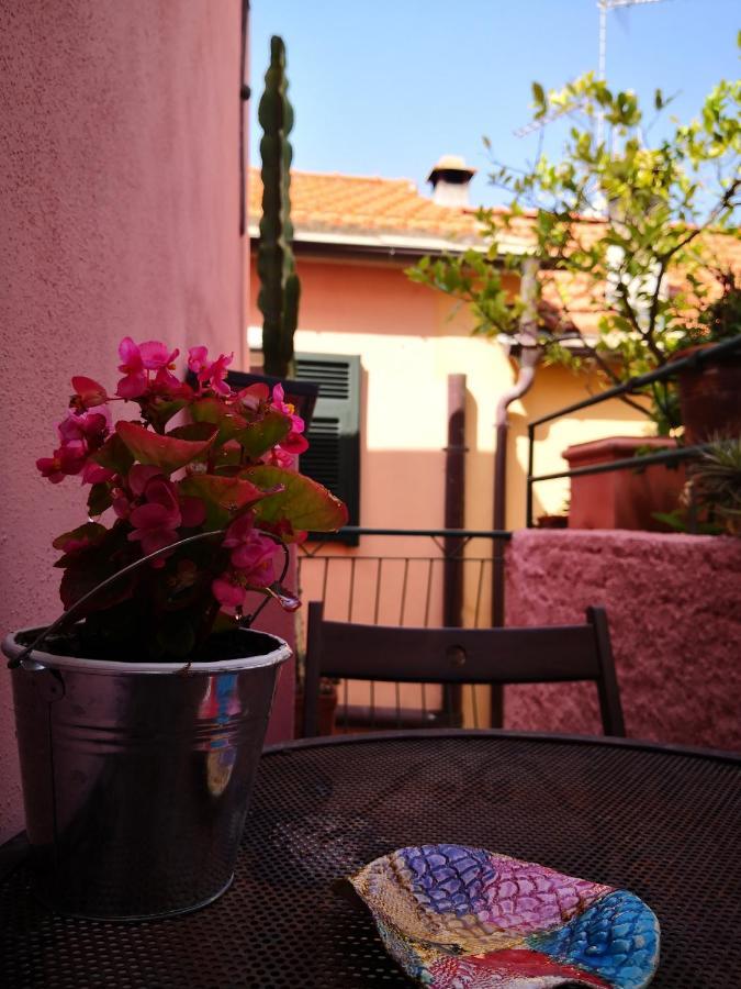 Bouquet Di Note Cervo Exterior foto